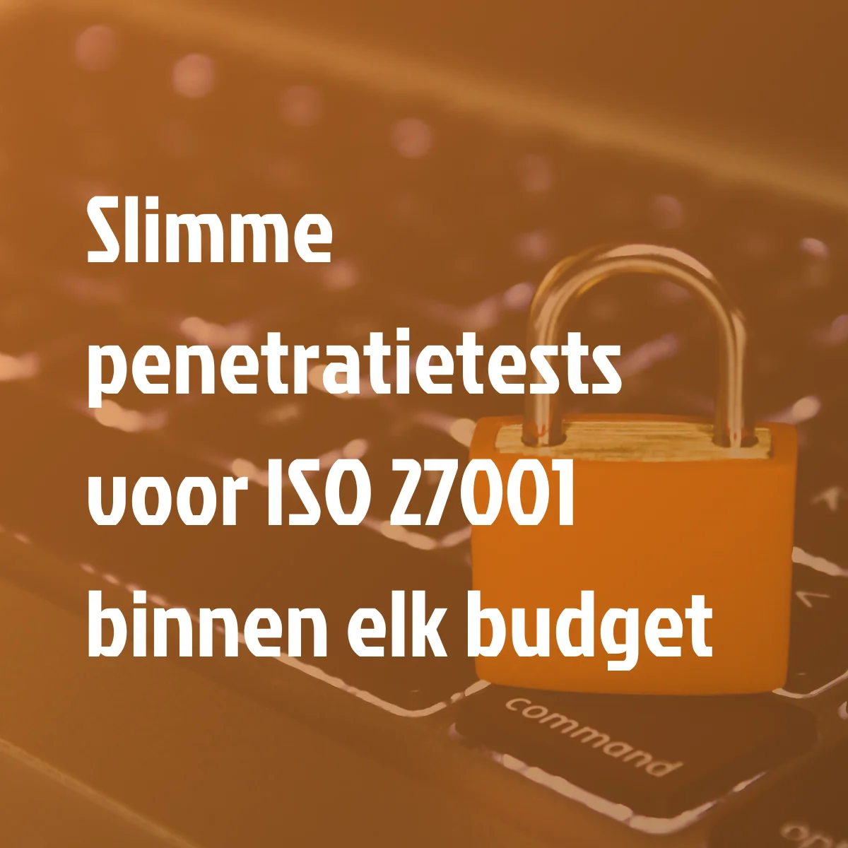 Penetratietesten en ISO 27001: slimme strategieën voor elk budget
