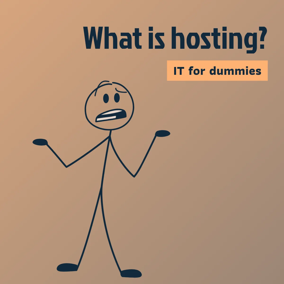 IT for dummies: hosting explained