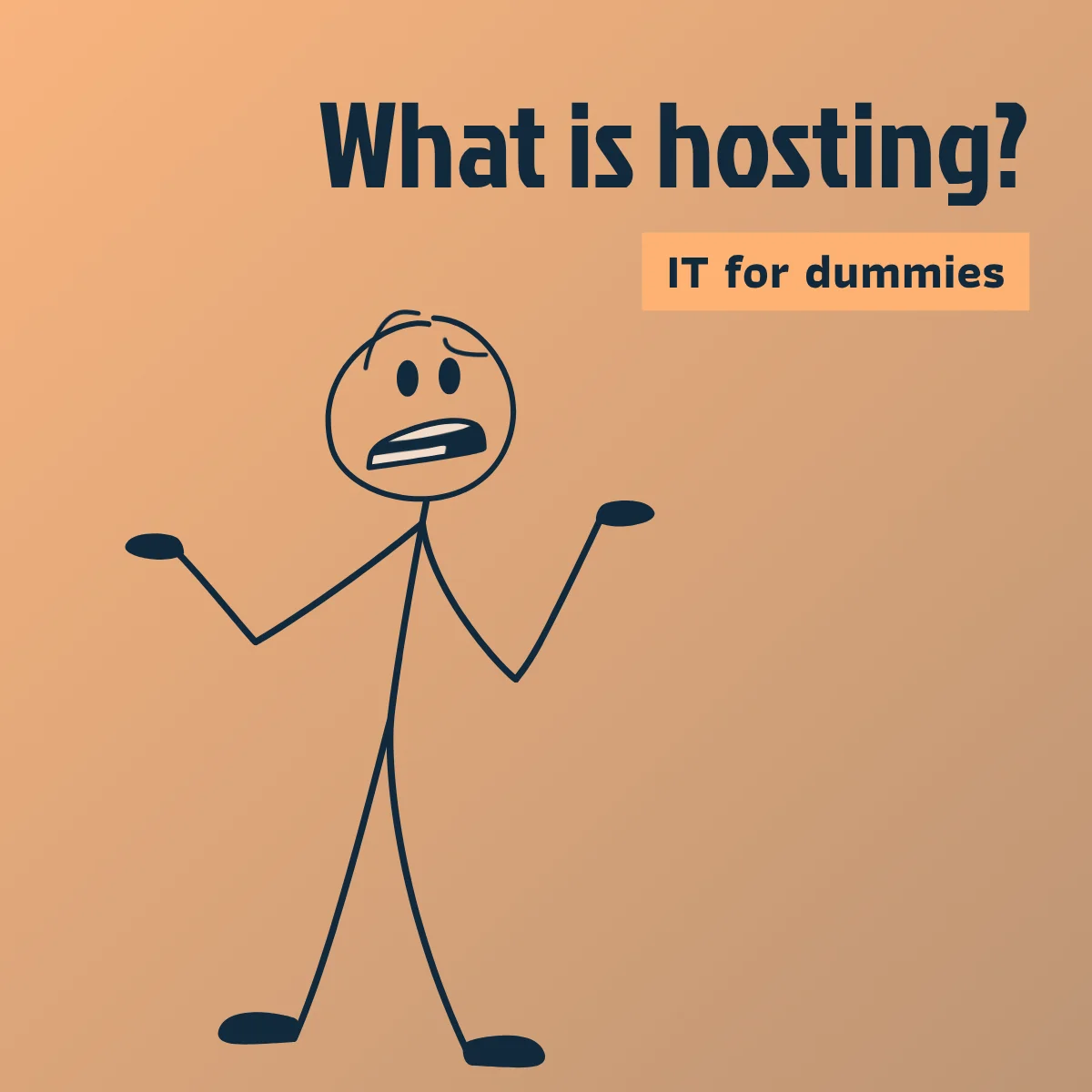 IT for dummies: hosting explained