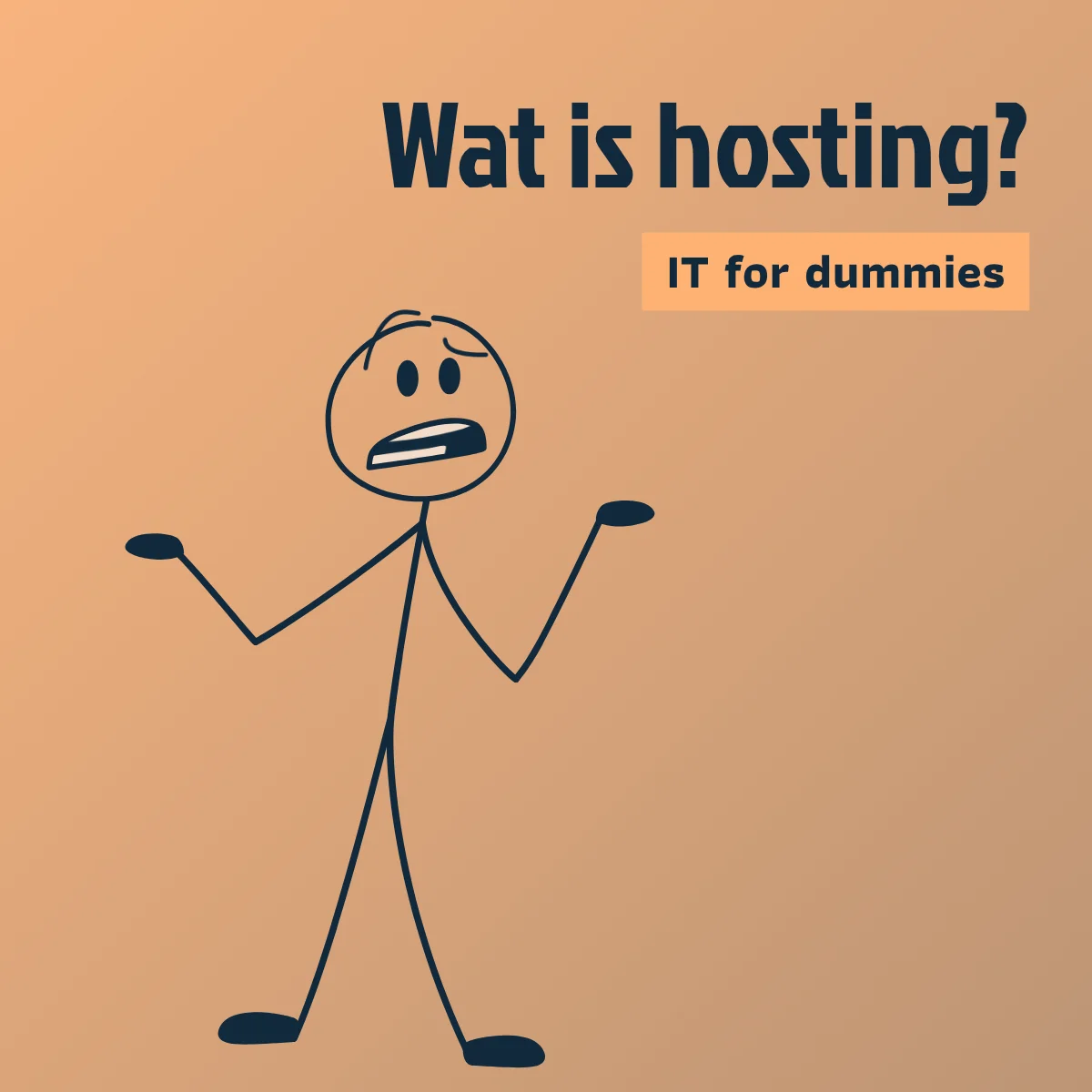 IT voor dummies: hosting uitgelegd