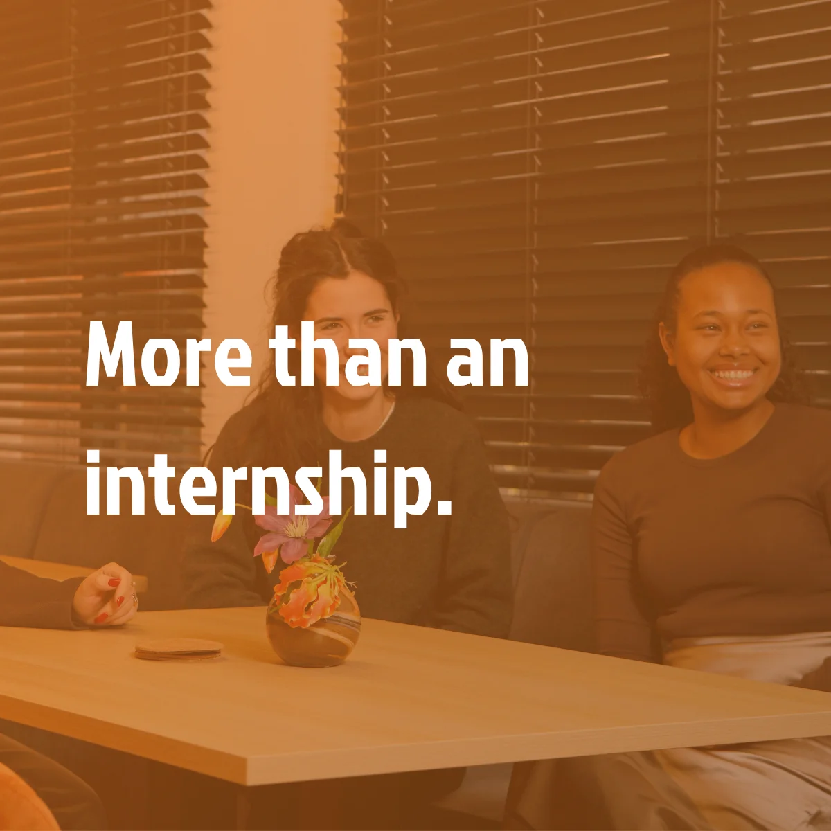 An internship at Tible means working on real projects