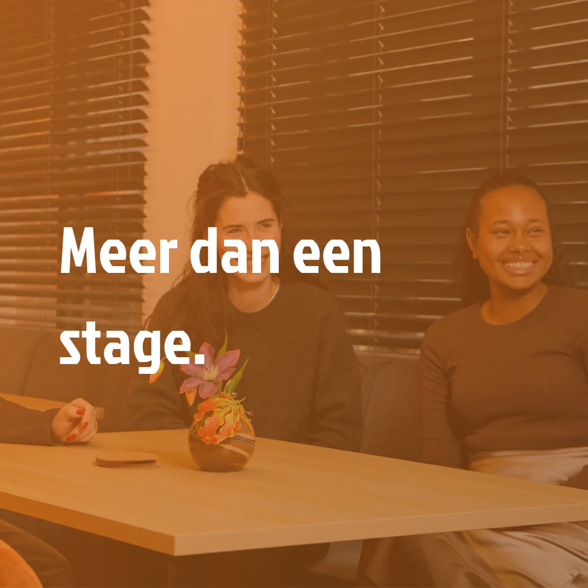 Een stage bij Tible betekent werken aan échte projecten